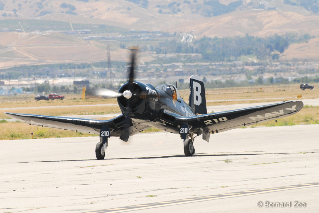 DSZ_8174